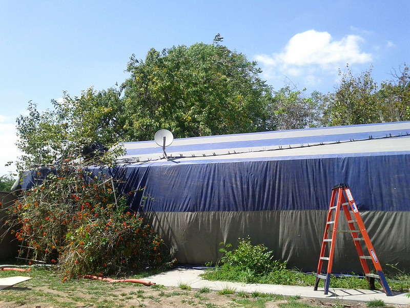 fumigation service