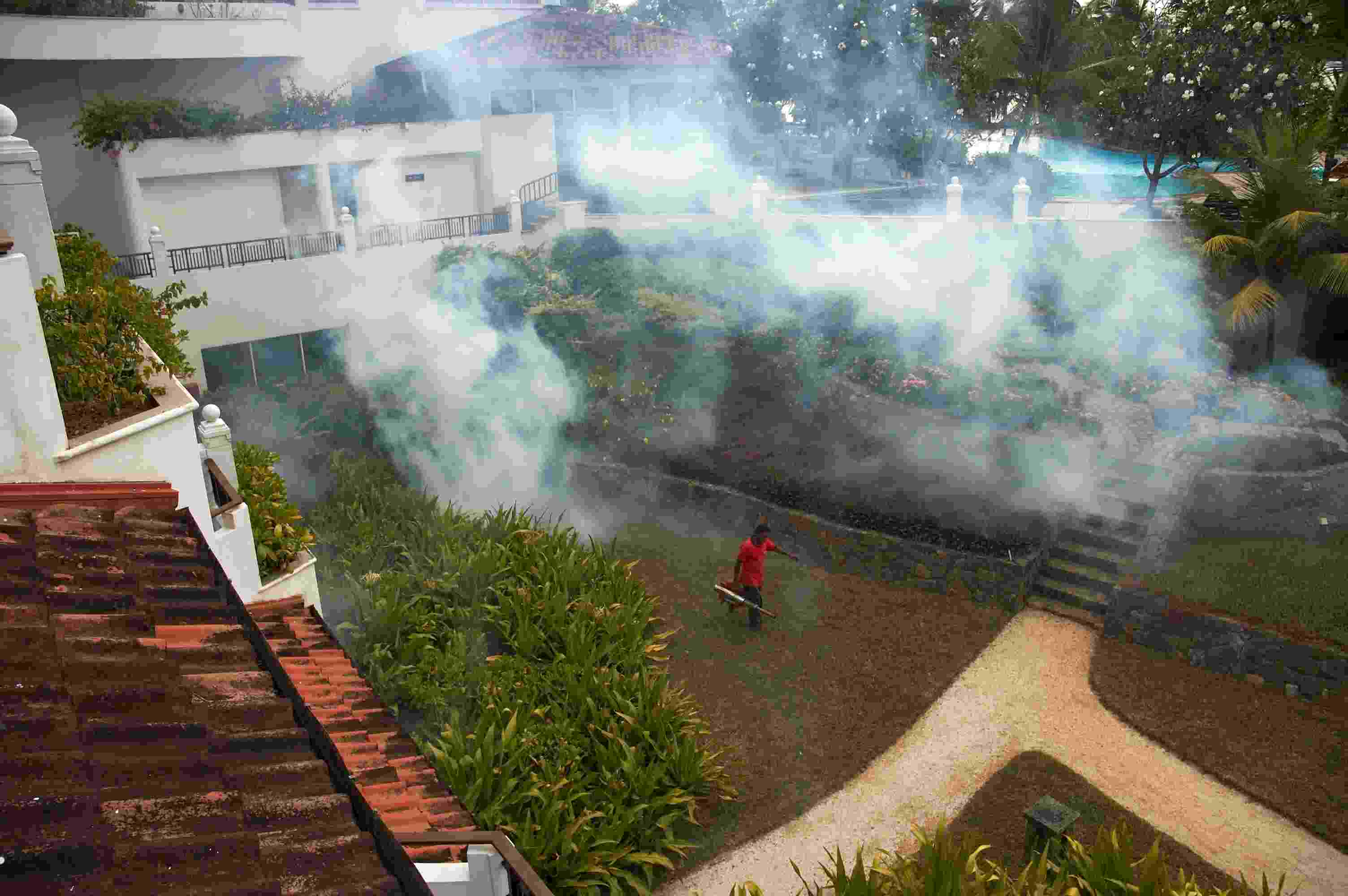 fumigation service