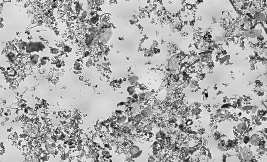 Sediments in Water Tank