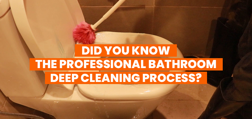  Did You Know the Professional Bathroom Deep Cleaning Process