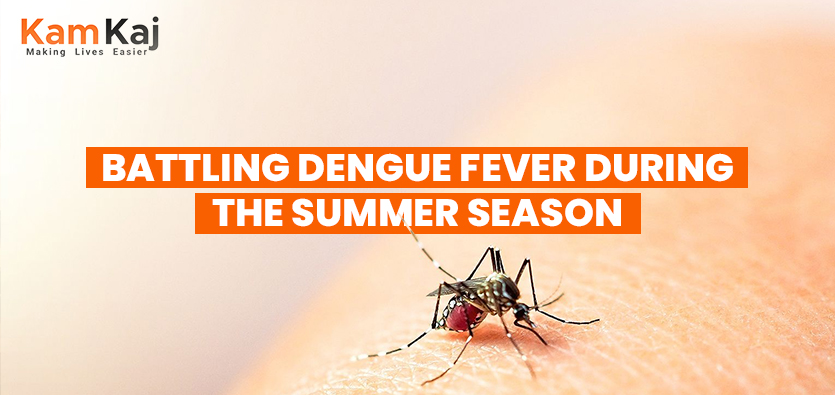 Battling Dengue Fever During the Summer Season